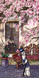 User Avatar: 223922