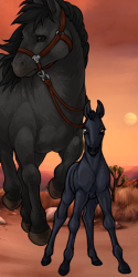 User Avatar: 320625
