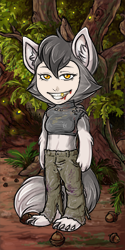 User Avatar: 336344