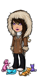 User Avatar: 340657