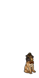 User Avatar: 367178