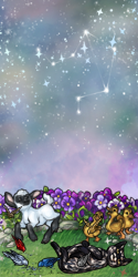 User Avatar: 387556