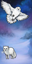 User Avatar: 405049