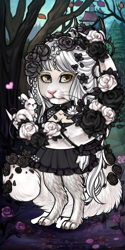 User Avatar: 41348