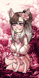 User Avatar: 467029