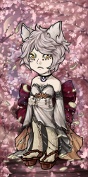 User Avatar: 470779