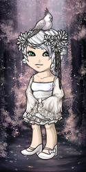 User Avatar: 529929