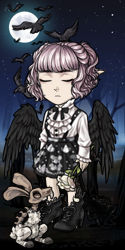 User Avatar: 558709