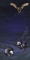 User Avatar: 602548