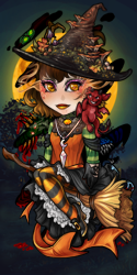 User Avatar: 606338