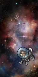 User Avatar: 623515