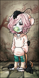User Avatar: 688877