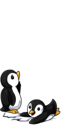Wearable preview: Penguin Call