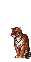 Wearable preview: Tiger Bones