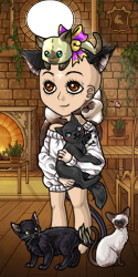 crazy cat lady